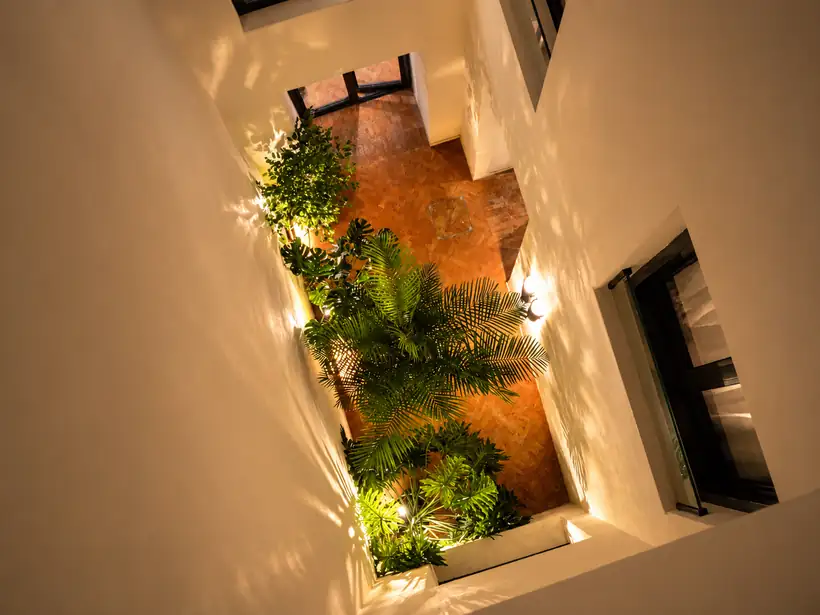 Patio interior con vegetación, vista cenital